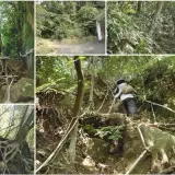 00005 猴山岳大峭壁