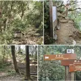 00030 二格山鞍部可通往筆架連峰