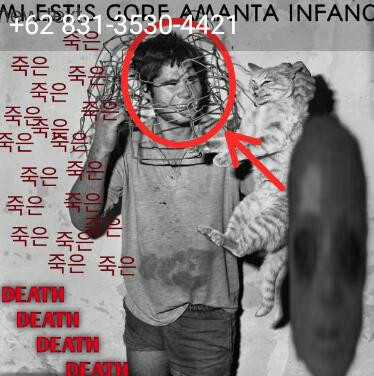 image.jpg