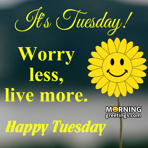 Happy Tuesday Motivation.jpg