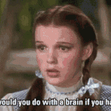 BRAIN DOROTHY.gif