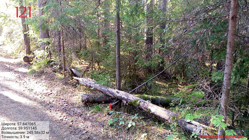 IMG 4854.jpg