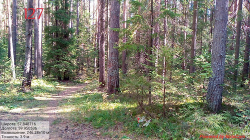 IMG 4866.jpg