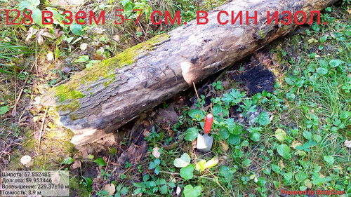 IMG 4869.jpg