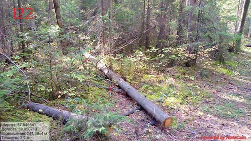 IMG 4856.jpg