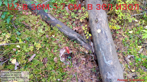 IMG 4857.jpg