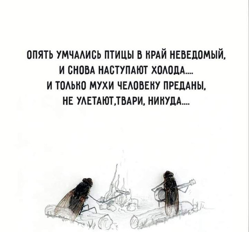 1694613954 296690089.jpg