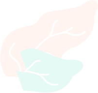 5dca97cd7789674d06d7495a plan box img3.png