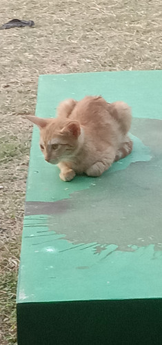 IMG 20230913 165450.jpg