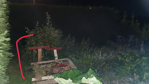 photo 2023 09 07 03 10 41.jpg