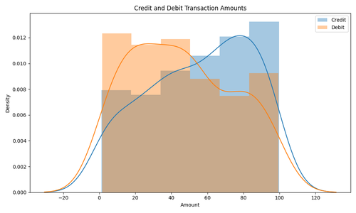 credit debit amounts.png