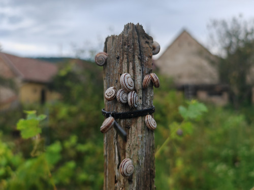 IMG 20230913 174706.jpg