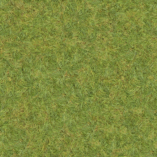 TexturesCom Grass0130 1 seamless S.jpg
