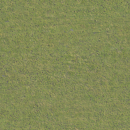 TexturesCom Grass0202 1 seamless S.jpg