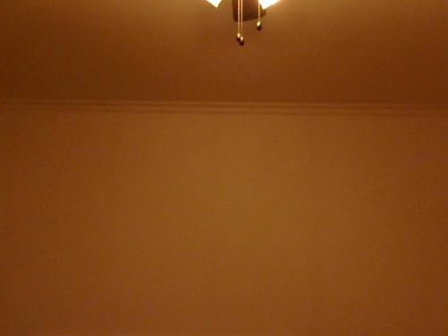42fd6b16efcd.jpg