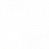 logo 100.gif