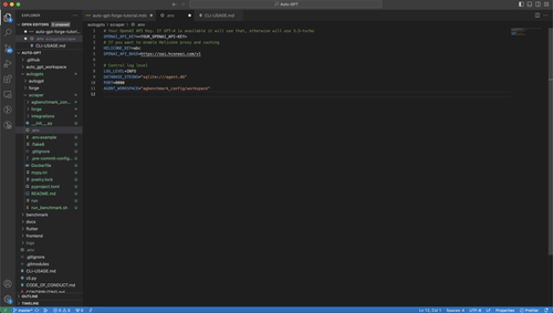 2 Autogpt env.png
