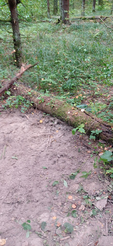 IMG 20230915 173226.jpg