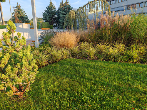 IMG 20230913 071854.jpg