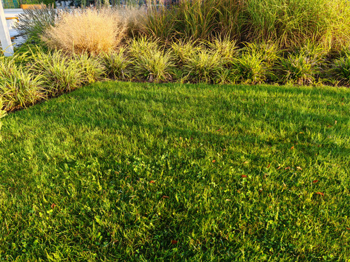 IMG 20230913 071852.jpg