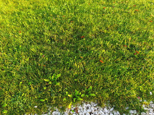 IMG 20230913 071859.jpg