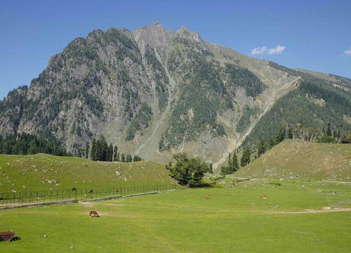 Kashmir tour packages l Get the best deals upto 25% off.jpg