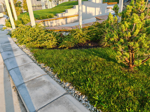 IMG 20230913 071856.jpg