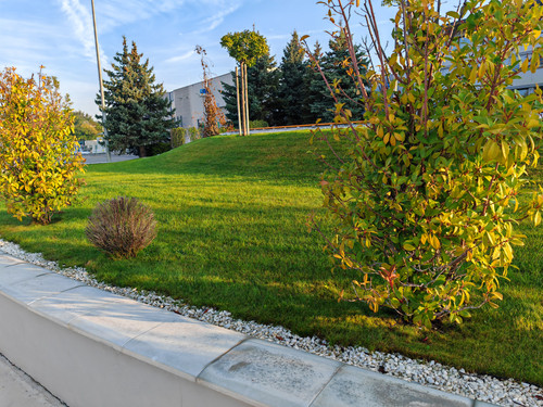 IMG 20230913 071821.jpg