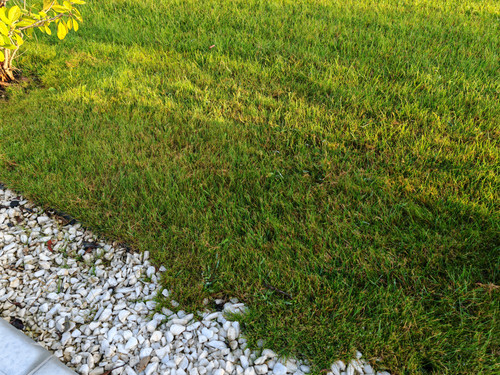 IMG 20230913 071832.jpg