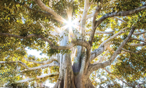 S Cubed Landing Image.jpg