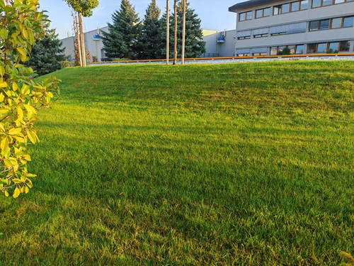 IMG 20230913 071828.jpg