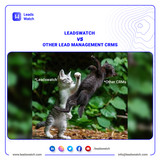 Leadswatch&amp; Others leads