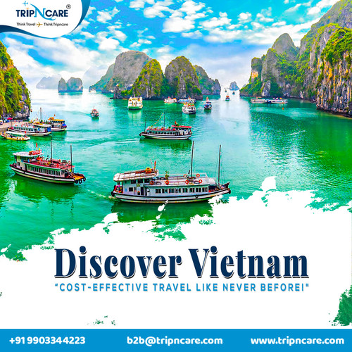 Vietnam Unveiled Affordable Adventures with TripNCare Travels.jpg