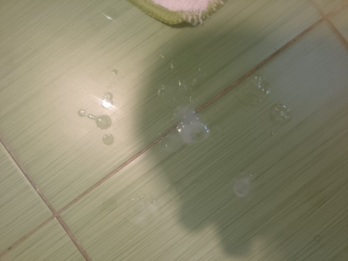 IMG 20230821 191721 504.jpg