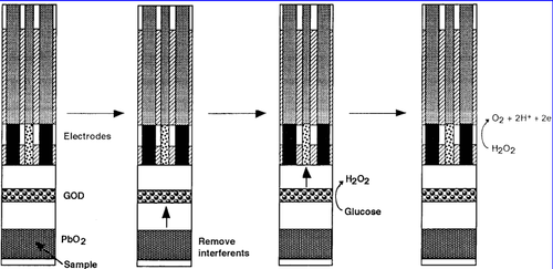 Captura de ecrã 2023 09 12 185347.png
