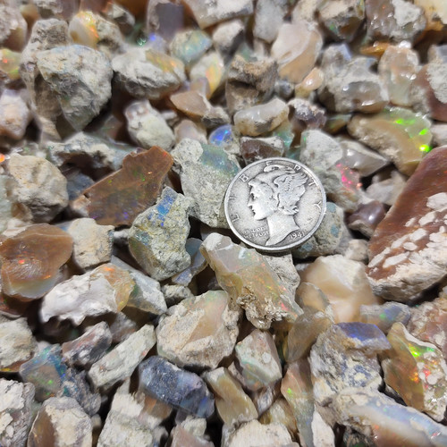 cropped 16945440035085828490526386006598.jpg