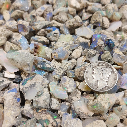 cropped 16945439544456567336212116058824.jpg