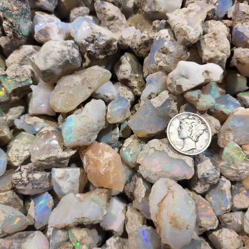 cropped 16945440630004955761945130709642.jpg