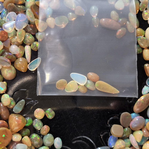 cropped 16945444824191869216878361262225.jpg