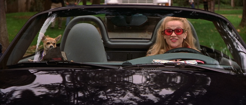 Legally.Blonde.2001.1080p.BluRay.x265.Opus.5.1 LSt 00.20.34.png