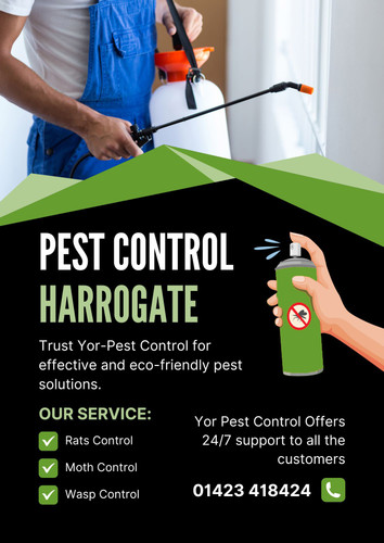 Pest control Harrogate (2).jpg