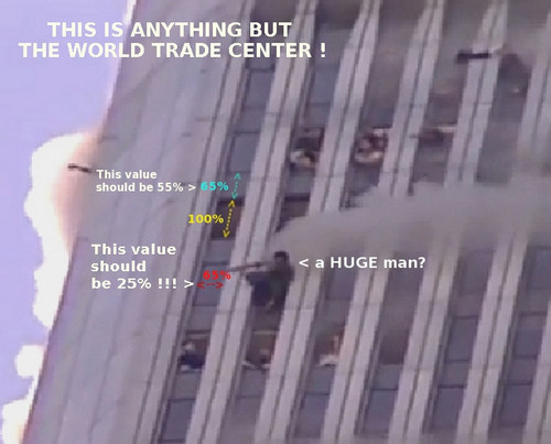 shack king kong HANGINGoutofwindows E.jpg