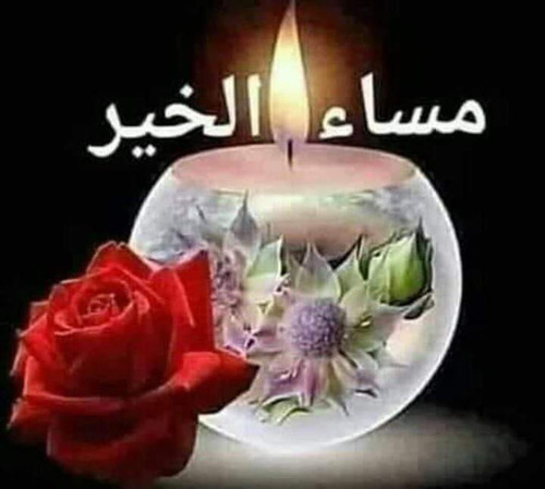 IMG db2ae7f0eedbd48eb51d736612ace31c V.jpg