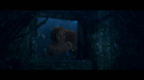The.Little.Mermaid.2023.BluRay.1080p.AVC.DTS HD.MA7.1 MTeam 20230916 095345.710.png