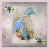 15164343E6iOFLJS.gif