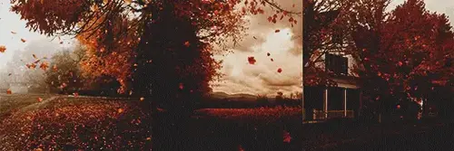 DarkFallSig.webp