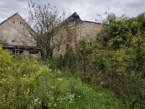 IMG 20230916 135759.jpg