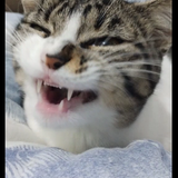 6b211e870025.png