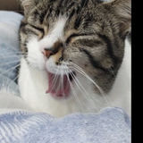 7b7c5c095399.png