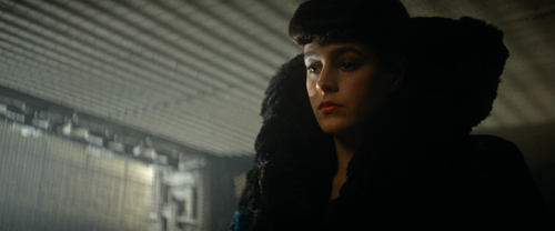 Blade.Runner.1982.The.Final.Cut.UHD.Blu ray.2160p.10bit.HDR.3Audio.TrueHD(Atmos).7.1.x265 beAst.mkv .png